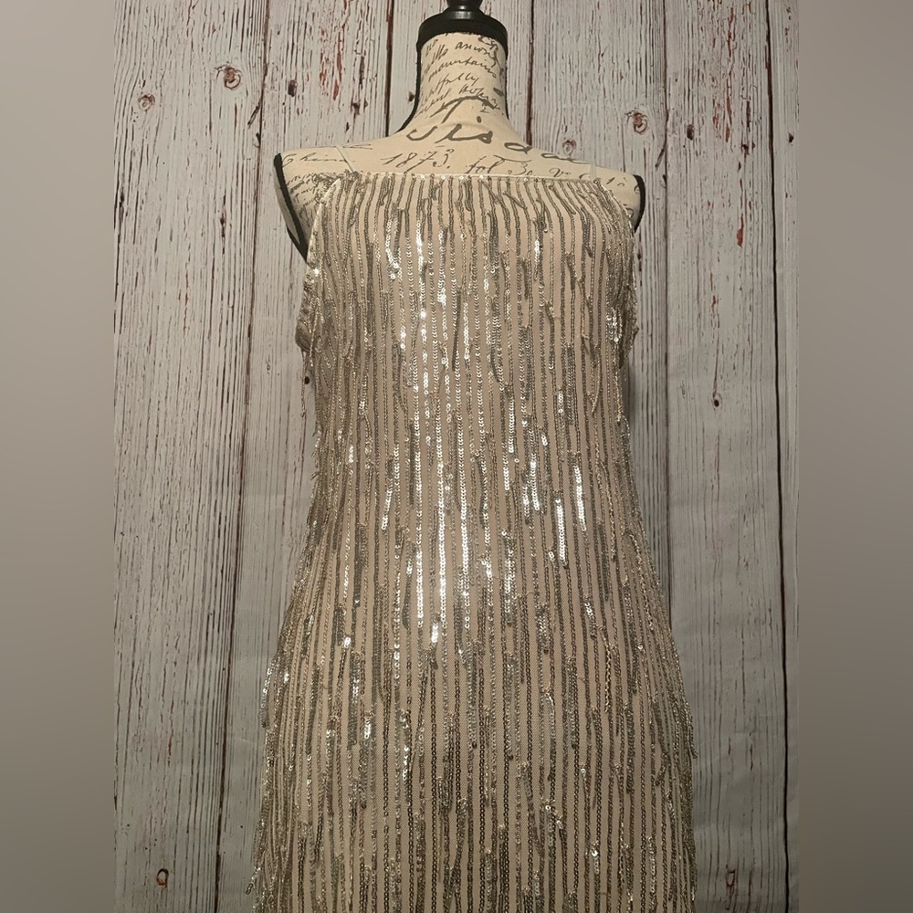Sequin Dress